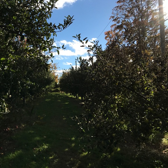 Meet your Posher, Brendan - Picture 1 of 1